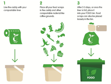 Step-by-step instructions for composting: 1. Line a caddy with a compostable liner, 2. Add food scraps and compostable material, 3. After 2-3 days, place the liner in the FOGO bin or add scraps loose.
