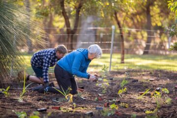 An older woman and a young boy kneel on the ground in a garden, planting seedlings together on a sunny day. The area is surrounded by trees and a wire fence in the background.