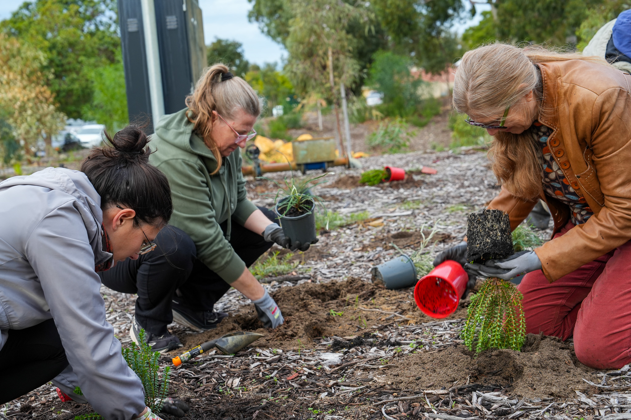 Three women kneel on the ground in a garden, planting small potted plants into the soil. They are wearing gloves and casual outdoor clothing, surrounded by trees and mulch.