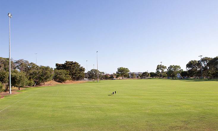 A wide, empty sports field with neatly mowed green grass, a few tall floodlights, some trees along the sides, and a clear blue sky overhead. Two birds are walking on the grass near the center.