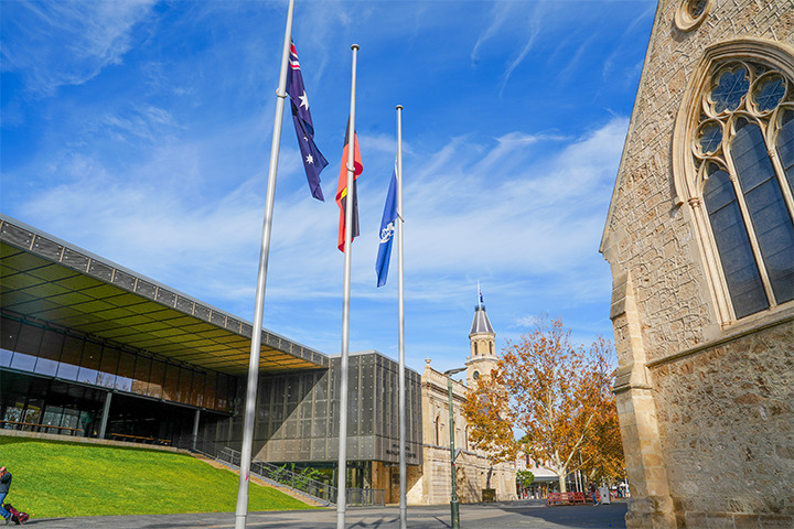 Three flags on poles stand in front of modern and historic stone buildings, with a grassy area and trees under a bright blue sky with wispy clouds.