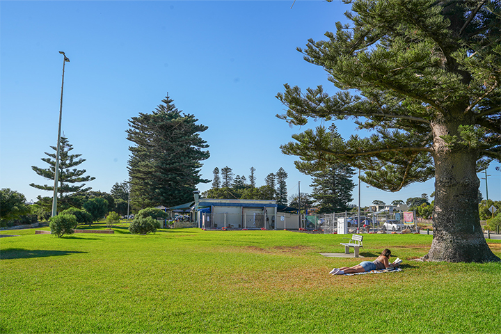 A person lies on the grass under a large tree in a sunny park, with benches, tall pine trees, and a building in the background on a clear day.