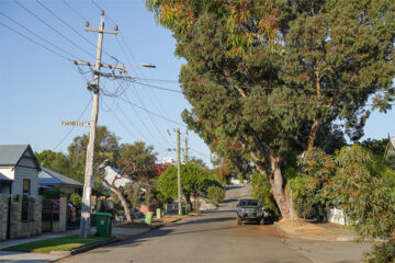 A quiet residential street with tall trees, power poles, and parked cars. Sunlight casts shadows on houses, fences, and recycling bins lining both sides of the street. A street sign reads Parmelia Ave.