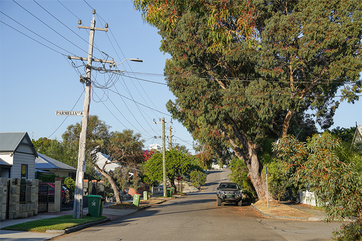 A quiet residential street with tall trees, power poles, and parked cars. Sunlight casts shadows on houses, fences, and recycling bins lining both sides of the street. A street sign reads Parmelia Ave.