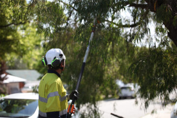A worker in high-visibility clothing and protective gear uses a pole saw to trim tree branches beside a street, with cars and houses visible in the background.