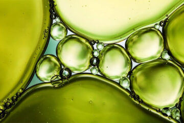 Close-up of yellow-green oil droplets of various sizes clustered together, floating on the surface of water, creating an abstract, organic pattern with translucent and glossy textures.