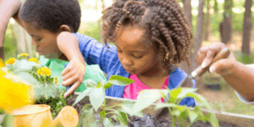 Two young children are planting seedlings in a garden bed, using small gardening tools. The background shows trees and greenery, suggesting they are outdoors on a sunny day.