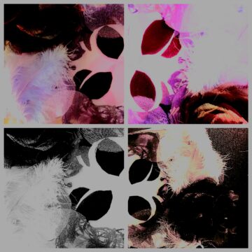 A collage of four abstract squares features feathers and ovals in various color schemes: pastel, bright pink, black and white, and muted tones, creating a varied and textured visual pattern.