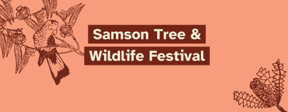 Peach background with outlined drawings of a bird on a branch and a pinecone, with the text Samson Tree & Wildlife Festival in bold white letters on dark brown rectangles.