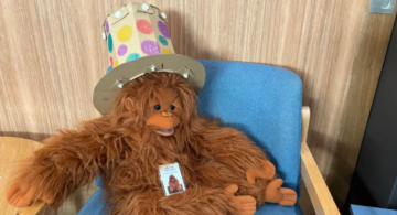 A fluffy brown orangutan plush toy sits on a blue chair, wearing a colorful, homemade paper top hat decorated with polka dots and lights. A laminated card with its picture hangs around its neck.