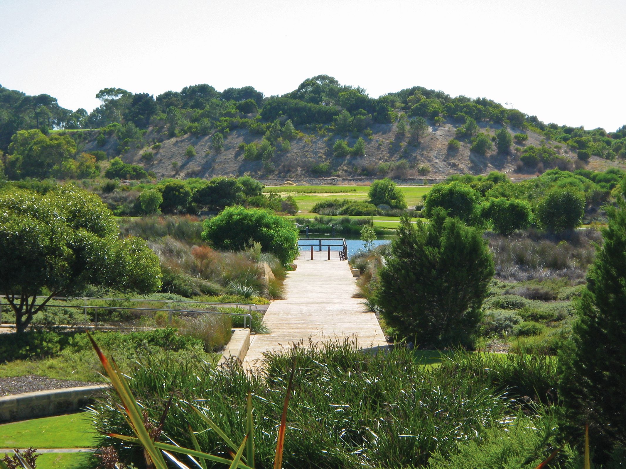A paved path leads through lush greenery and shrubs toward a small wooden dock beside a pond, with a grassy hill and trees in the background under a clear sky.
