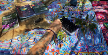 A tattooed arm reaches for small bottles arranged on a vibrant, colorful patterned cloth, surrounded by leafy branches, books, and animal hide. The scene suggests traditional or natural medicine.