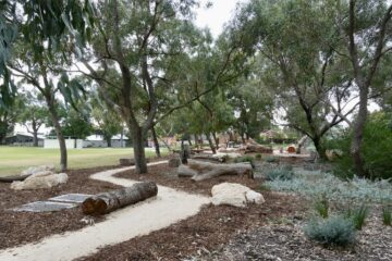 A natural playground with large tree logs, rocks, and wood chips under tall eucalyptus trees, next to a grassy area and surrounded by greenery, on a cloudy day.