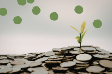 A small green plant sprouting from a pile of coins, with green circles floating above, symbolizing financial growth and investment.