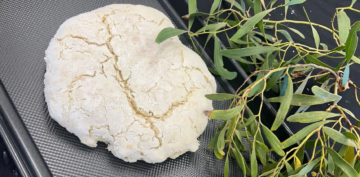 A round, cracked loaf of damper bread sits on a textured black surface next to fresh green eucalyptus leaves.