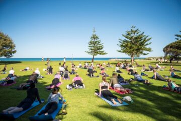 A large group of people practice yoga on mats in a grassy park near the ocean, under a clear blue sky with scattered trees.
