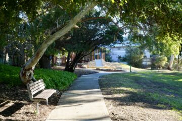A curved tree shades a wooden bench by a winding concrete path in a green park, with sunlight, bushes, and a modern white building in the background.