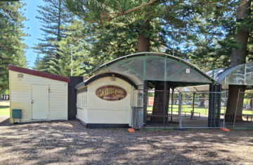 A small white building with a sign reading Carriage Café Historic Café sits under large pine trees, partially surrounded by a metal fence. There is an adjacent shed and covered outdoor seating area.