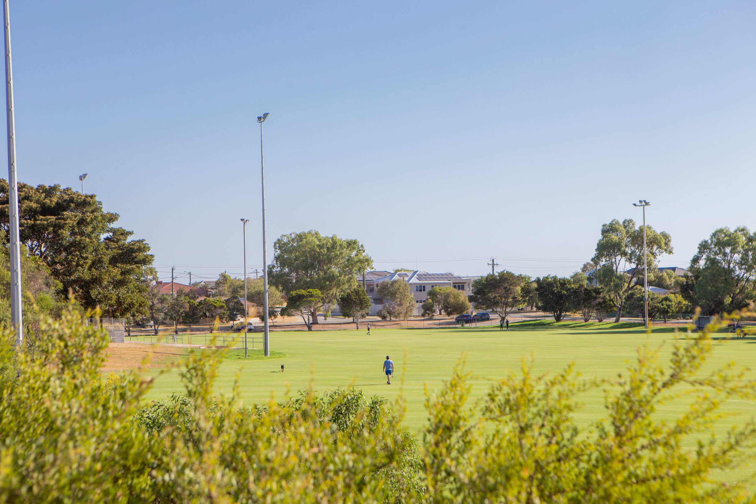 A person walks across a large, green sports field surrounded by trees and light poles, with houses and clear blue sky in the background.