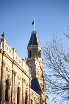 Historic building with a clock tower and a flag flying from the spire, partially obscured by a leafless tree.