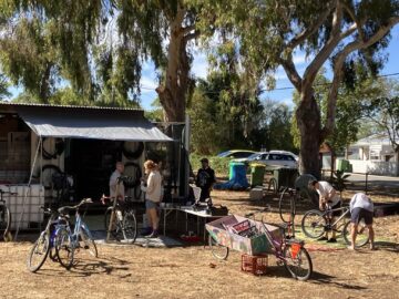 People work on bicycles outside a small shed under large trees.