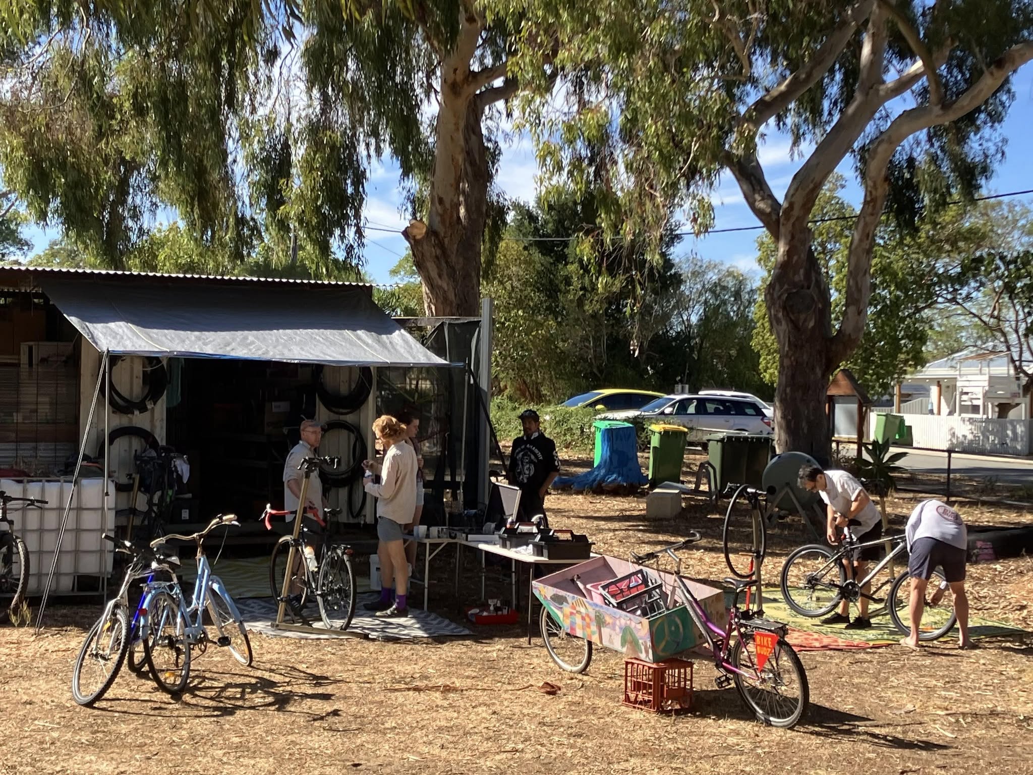 People work on bicycles outside a small shed under large trees.